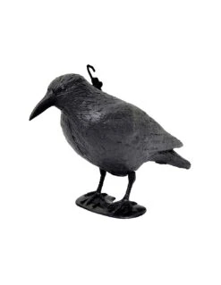 Corvo Dissuasore Per Volatili